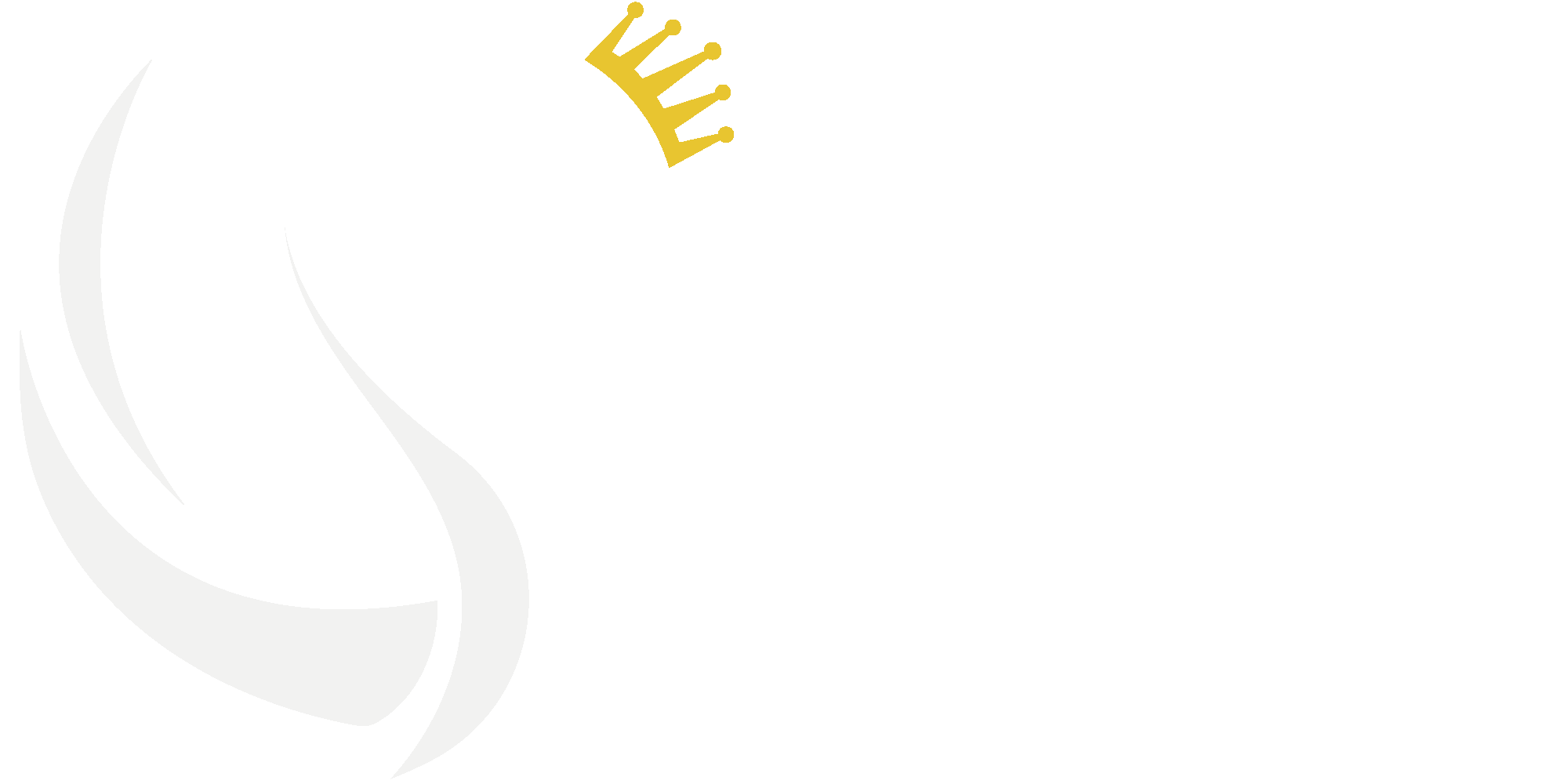 erika-demo-wei-er-schwan-dresden